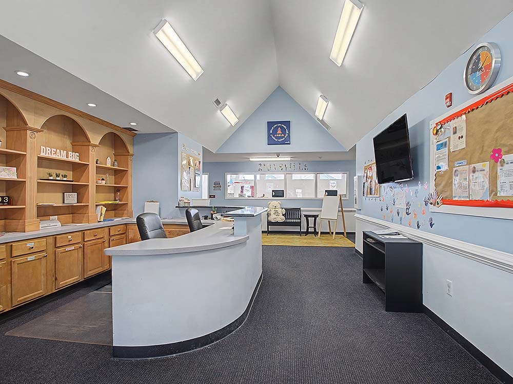 Reception area with a curved counter and wooden built-in shelving unit