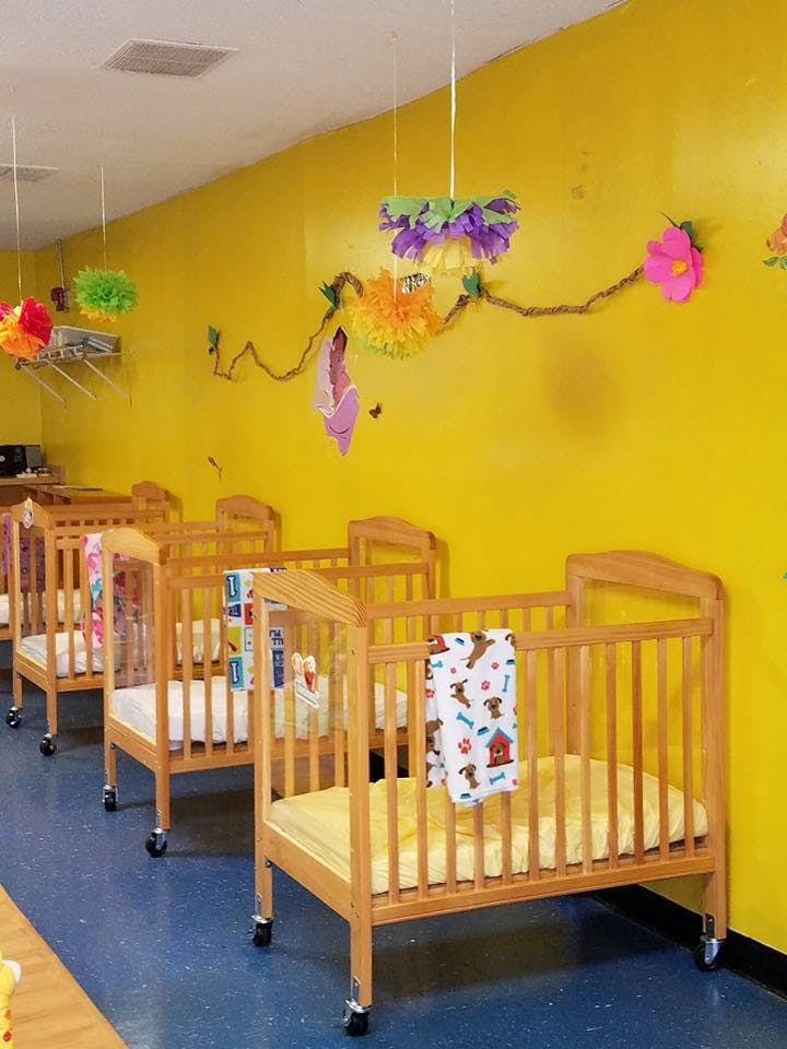 Multiple wooden cribs with yellow sheets in a room with yellow walls