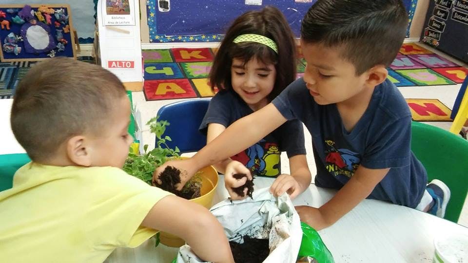 Three children planting in a classroom