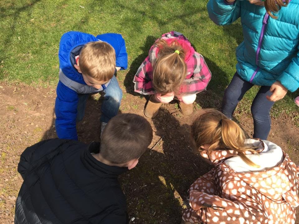 Four children looking down at the ground