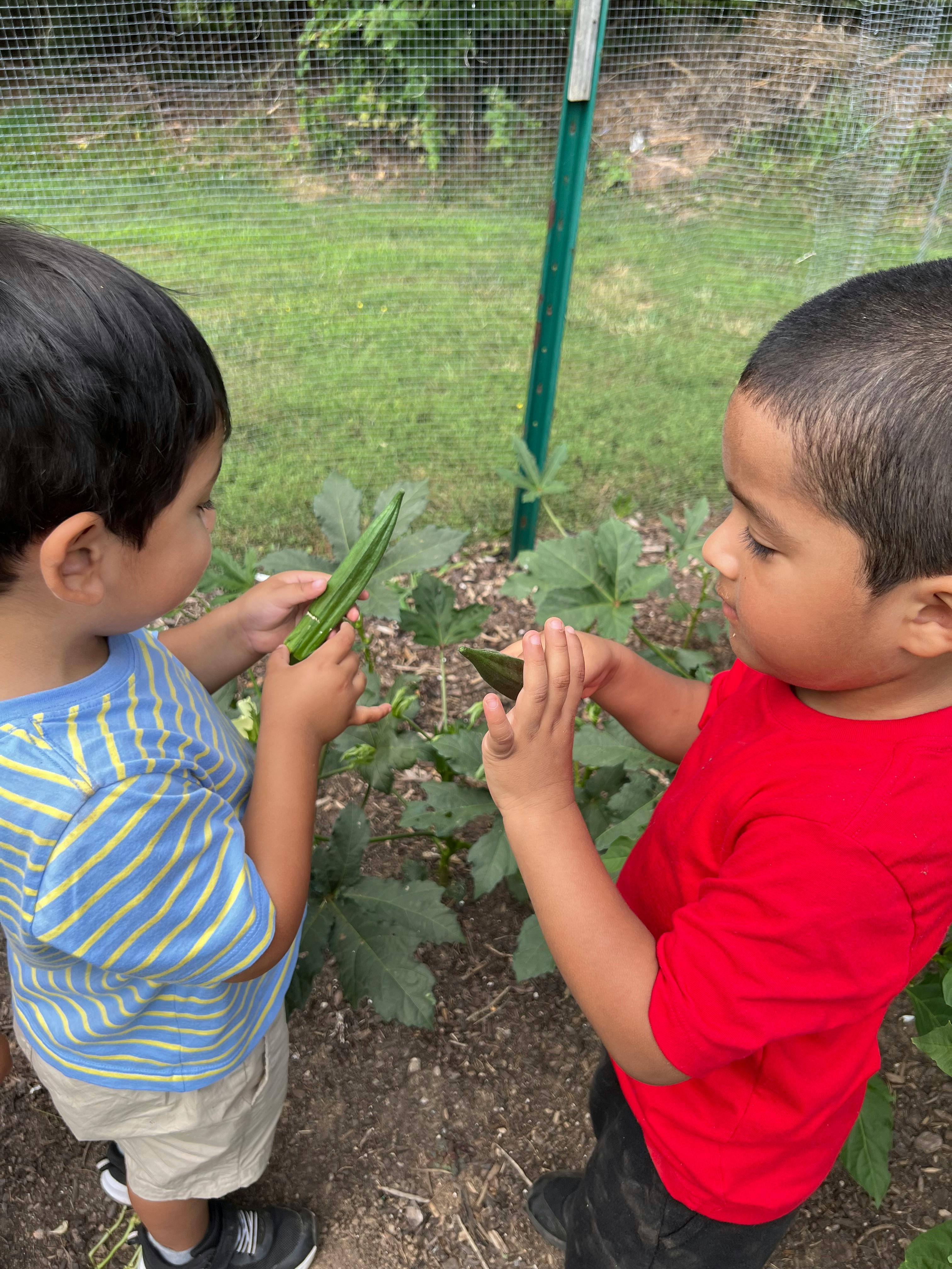 Two children holding okra pods in a garden