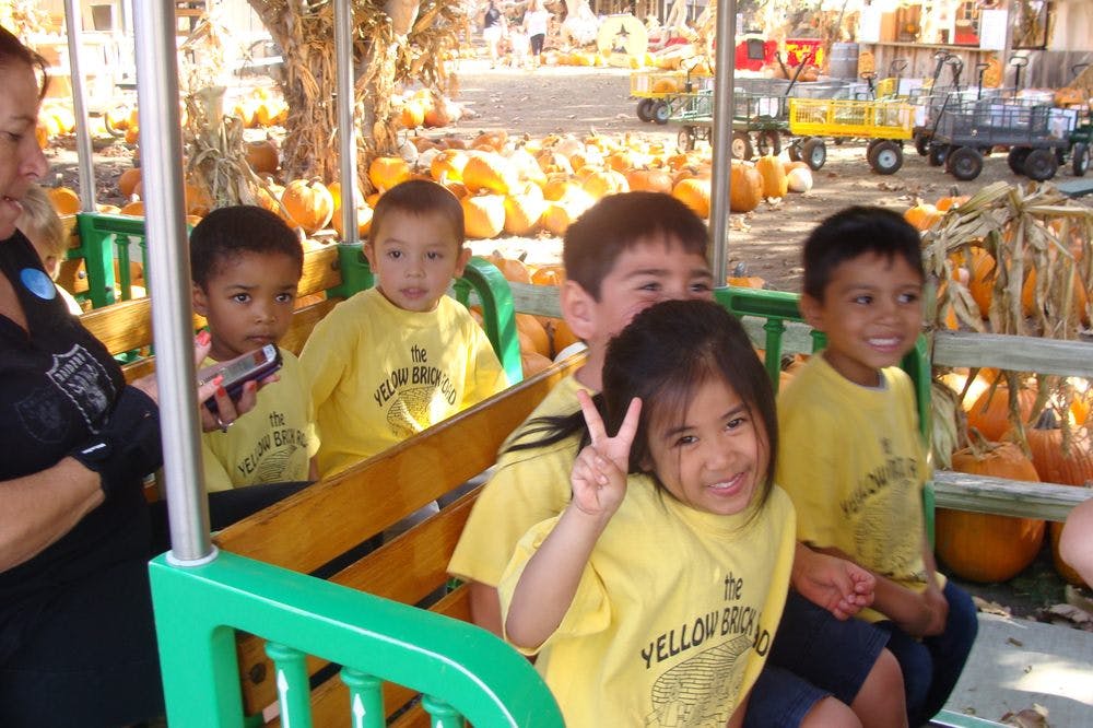 Children in yellow shirts riding on a hayride with pumpkins in the background