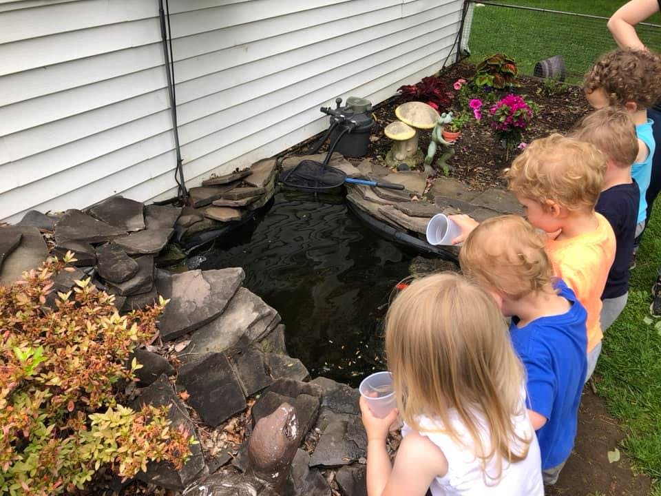 Children looking into a small pond with rocks