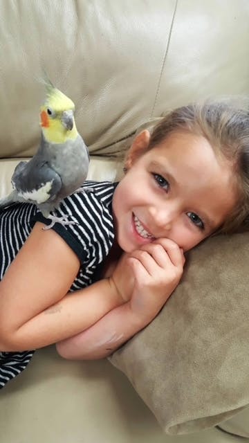 Child with a cockatiel on their shoulder