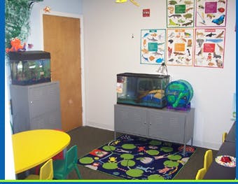 classroom with two fish tanks and colorful posters