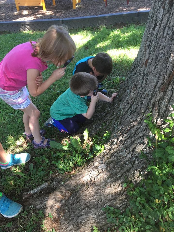 Three children looking at a tree trunk with magnifying glasses