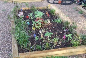 Grandma's House Child Care & West Oaks Private Preschool Preschool in