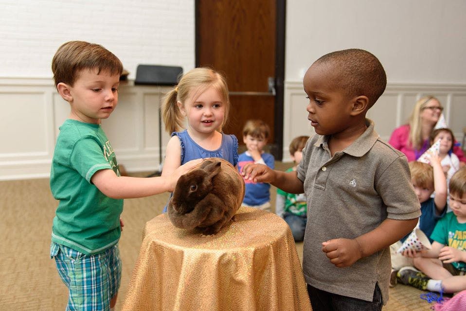 Three children interacting with a rabbit on a table
