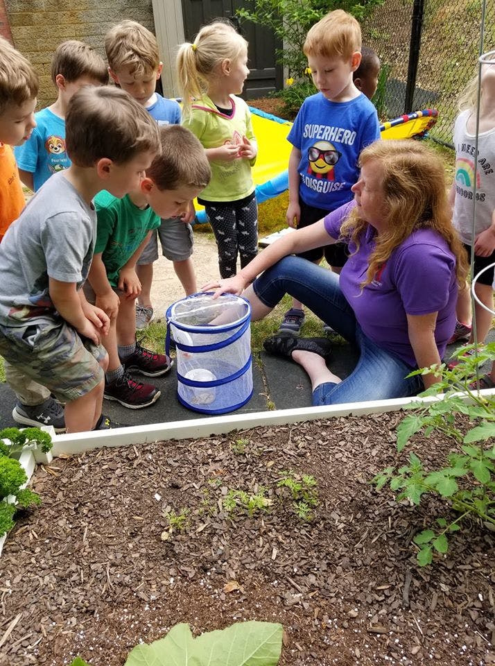 Adult and children gathered around a mesh container in a garden