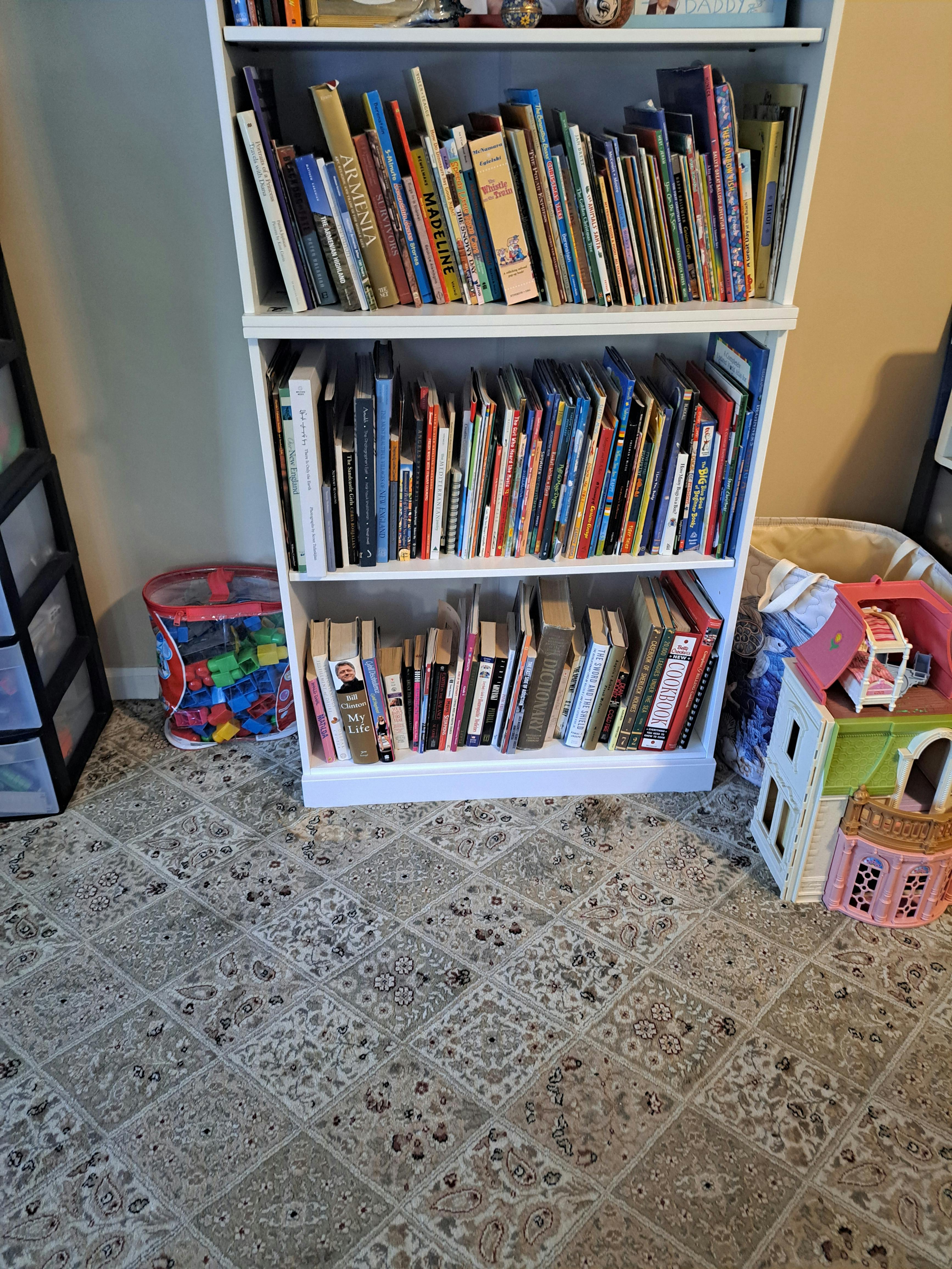 White bookshelf filled with books