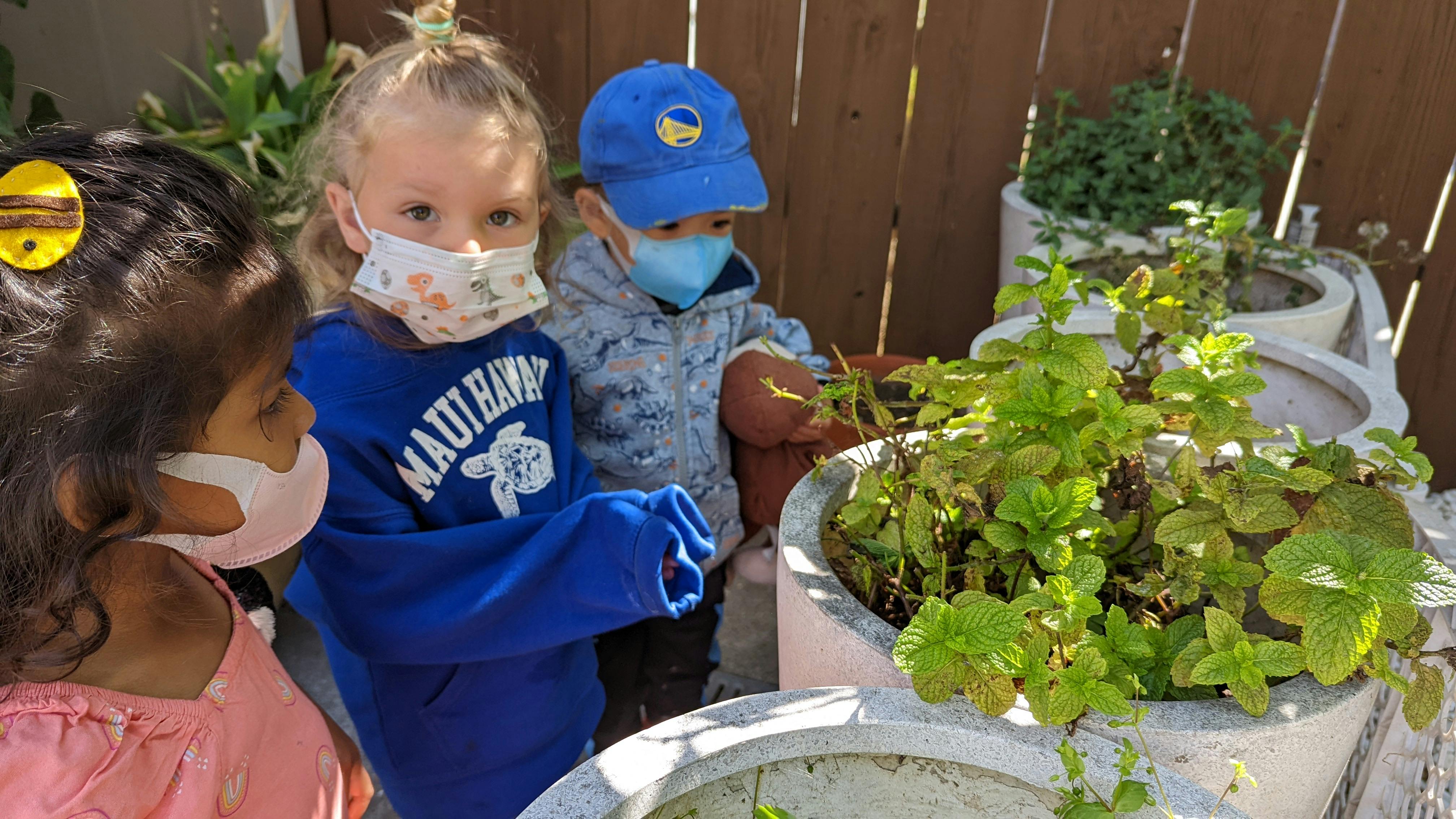 Three children in masks looking at plants in pots