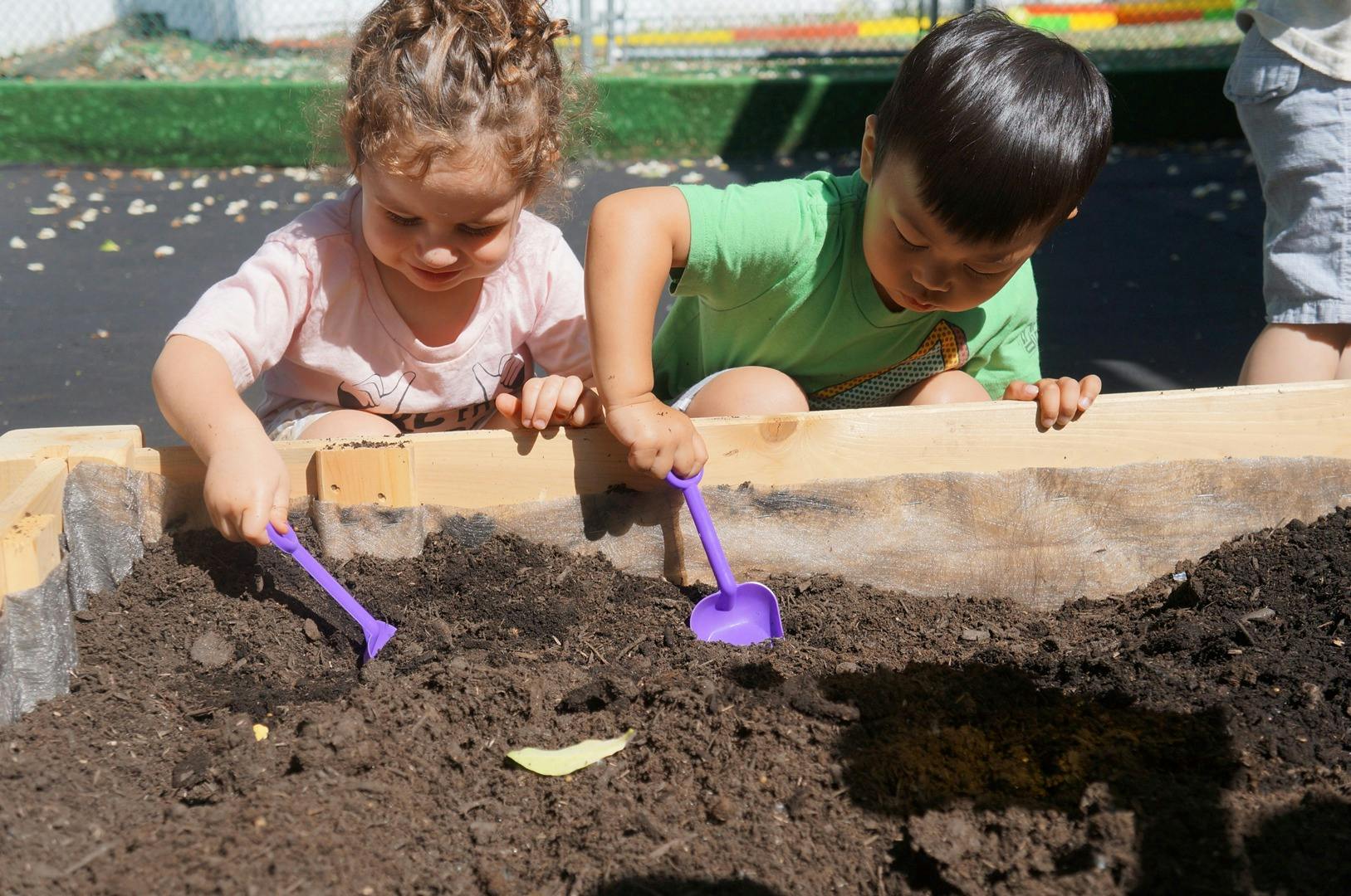 Two children digging in soil with purple shovels