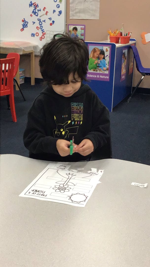 Little Sunshine Daycare Center in Lawrence, MA