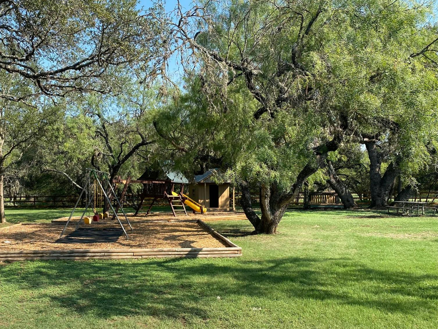 Playground with swings and slide under trees
