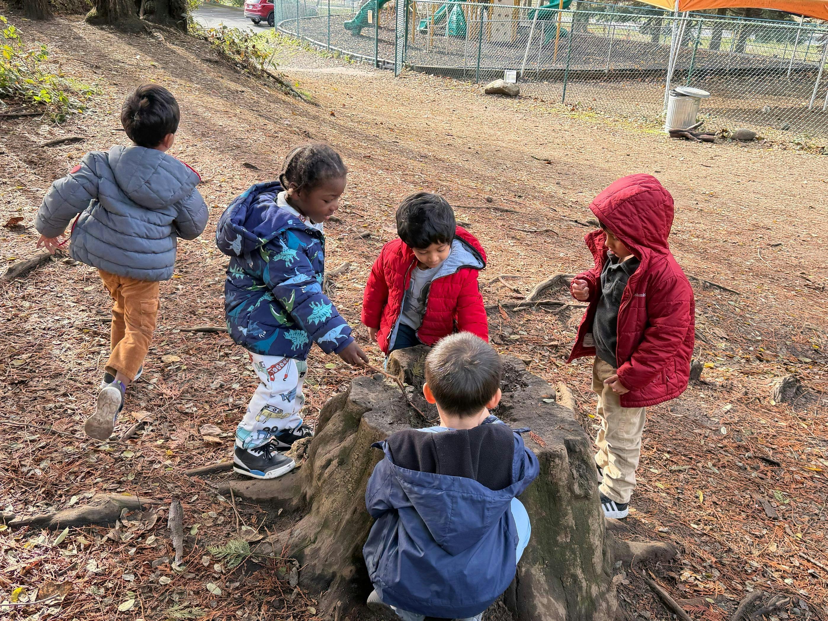 Five children playing around a tree stump outdoors