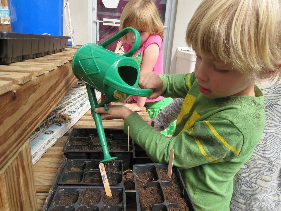 Child watering small plants in trays with a green watering can