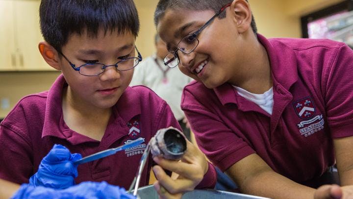 Two children in glasses examining an object