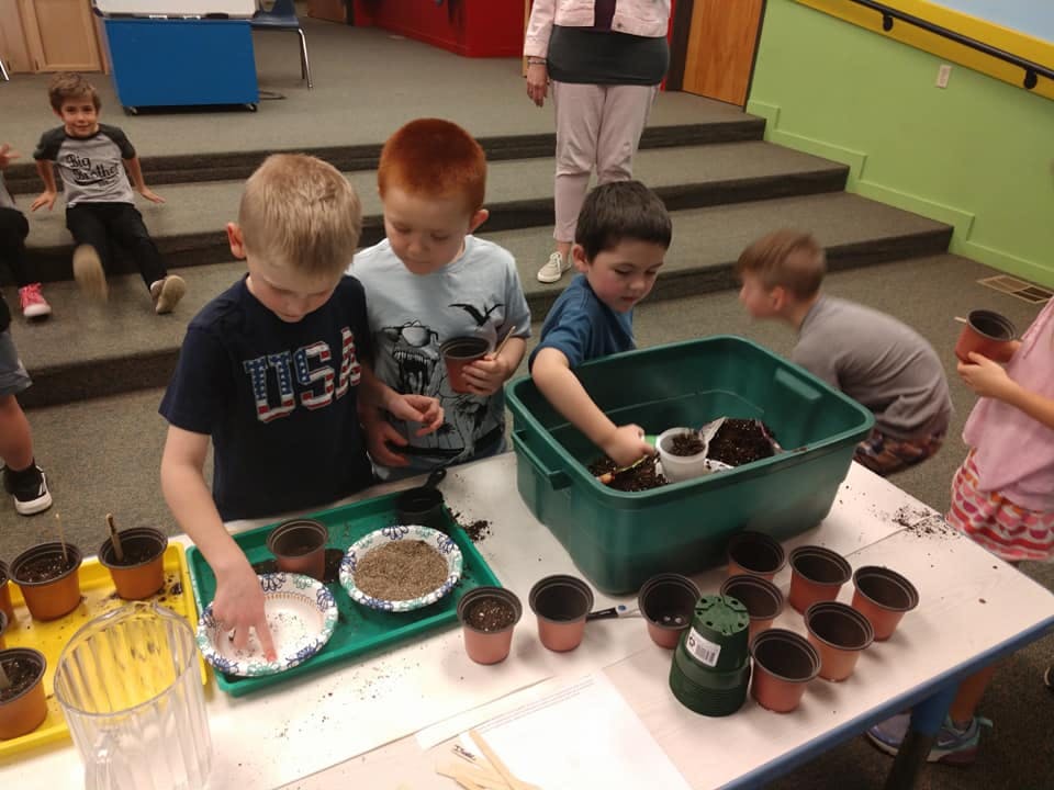 Children planting seeds in small pots at a table