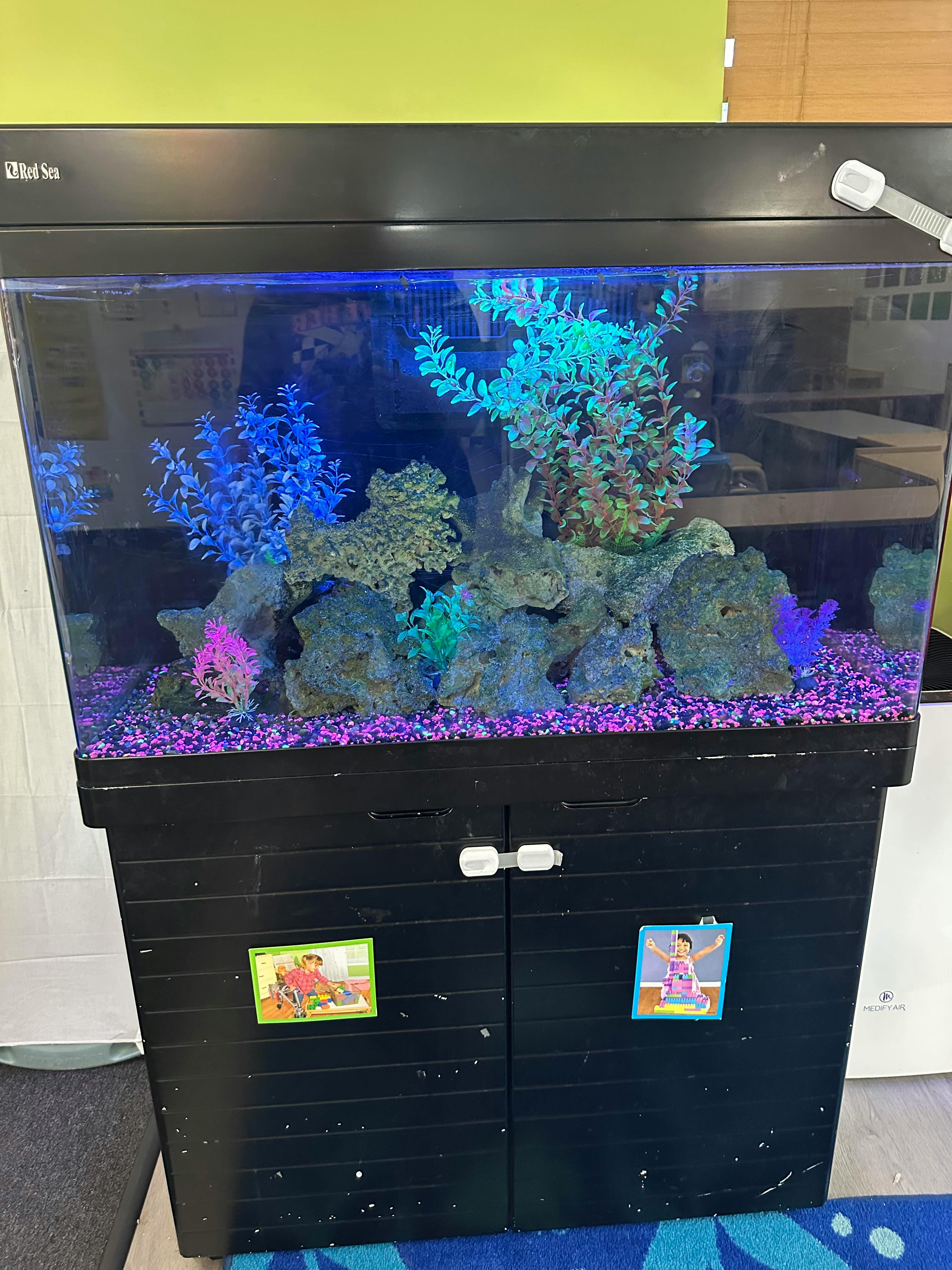 Aquarium with purple gravel, artificial plants, and rocks