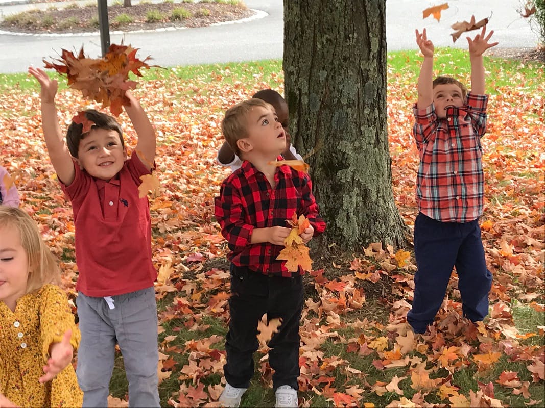Children playing with autumn leaves outdoors