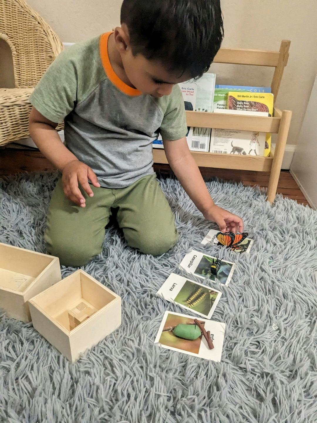 Child kneeling on rug, looking at picture cards