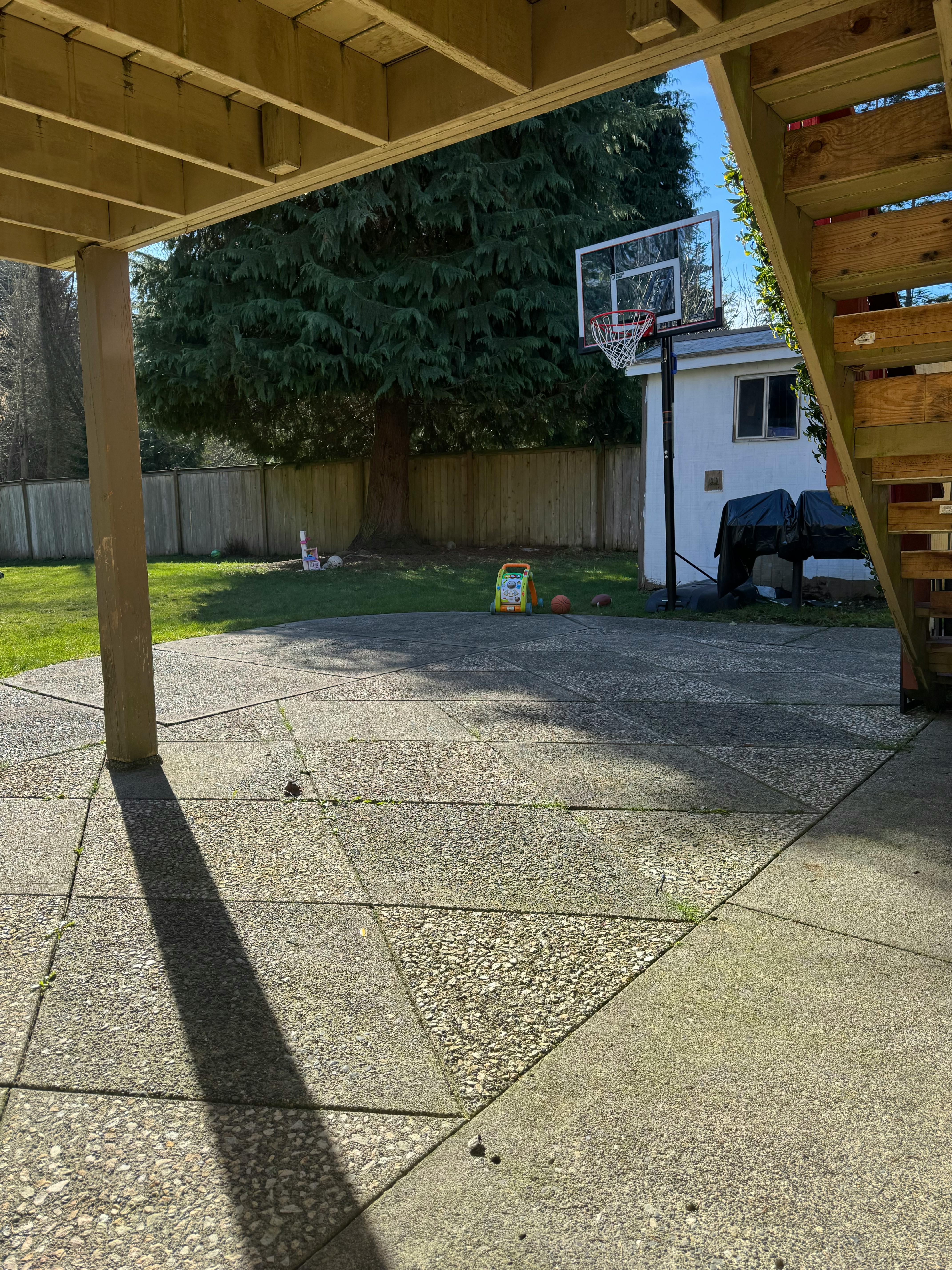 Basketball hoop in a backyard with a paved area and grassy area