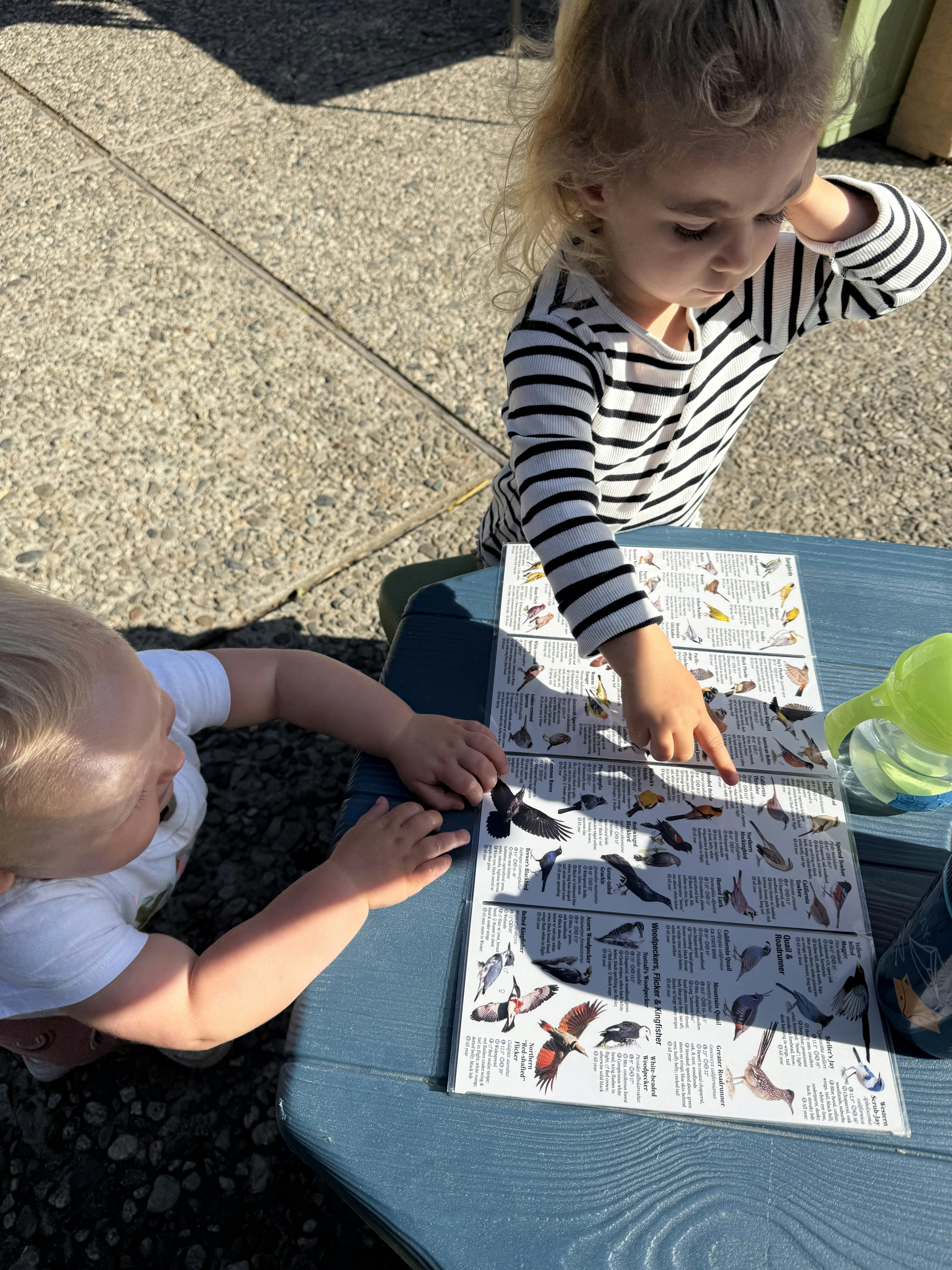 Two children looking at a bird identification chart on a table