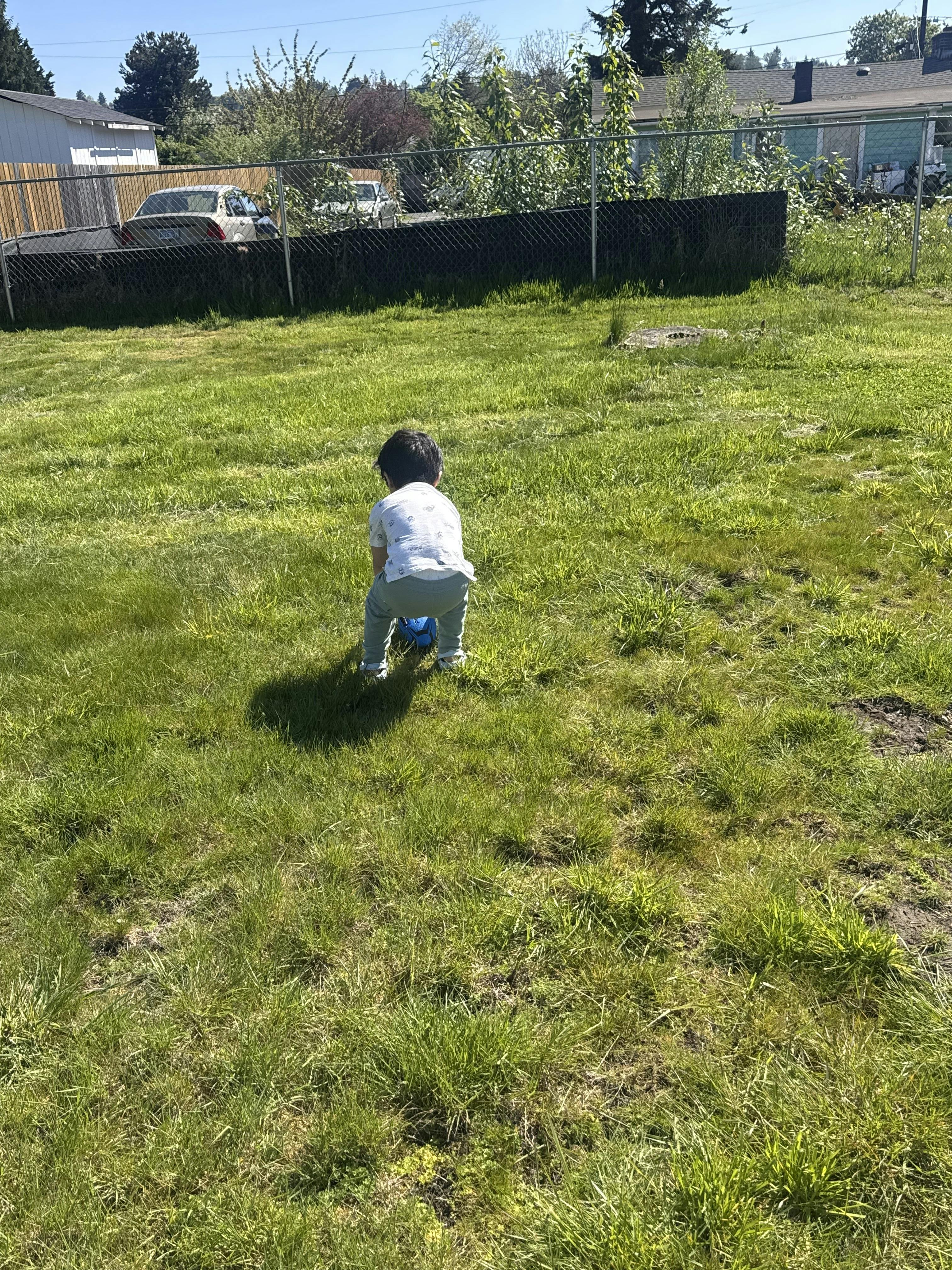 Child crouching over a blue ball on a green grassy lawn