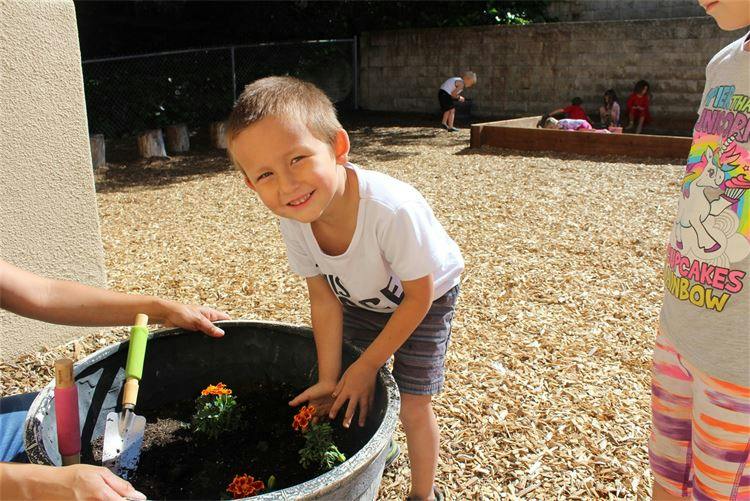 Child planting flowers in a large pot