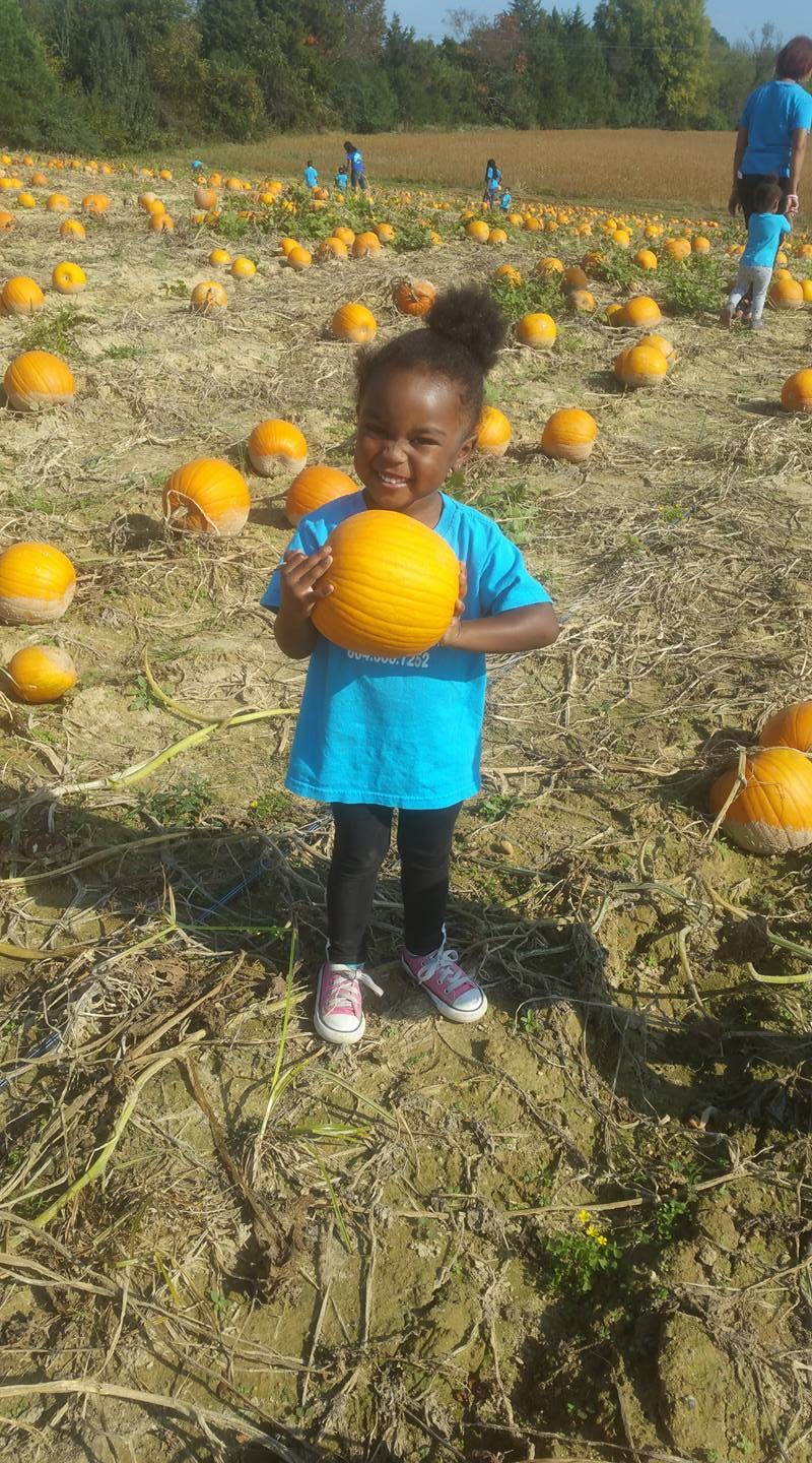 Child holding a pumpkin in a pumpkin patch