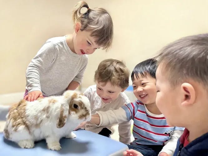 Children gathered around a rabbit