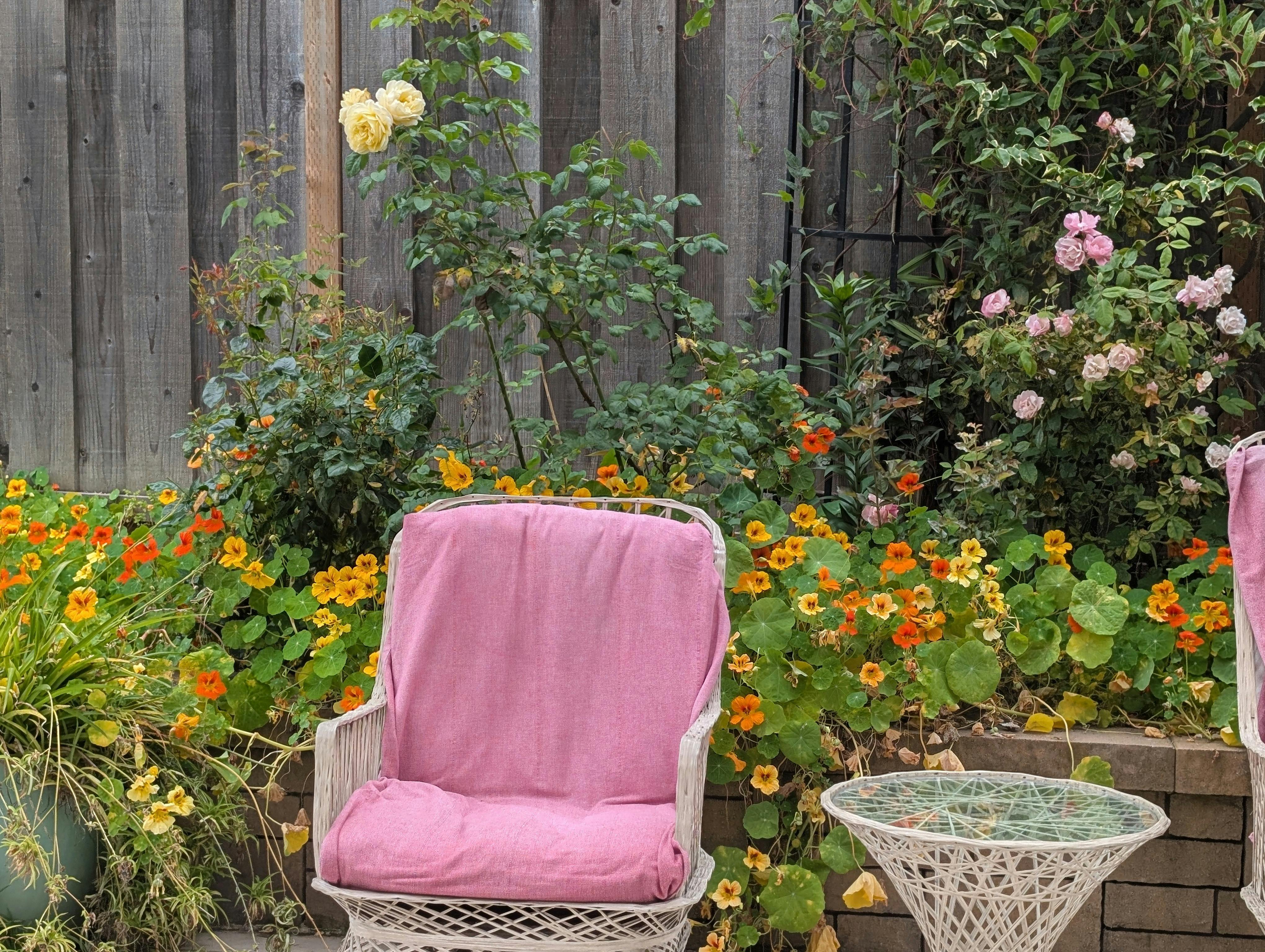 White outdoor chair with a pink cushion in a garden