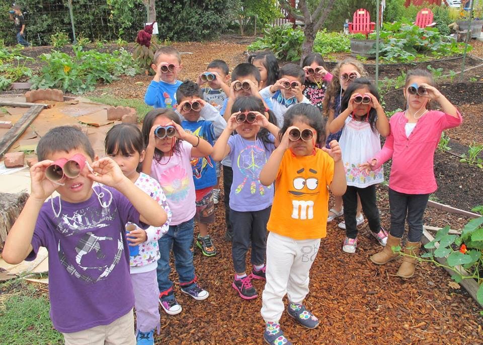 Group of children holding binoculars to their eyes in a garden