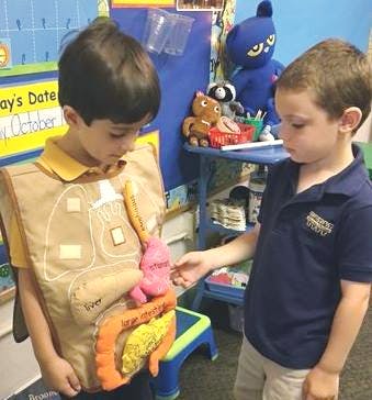 Two children interacting with a human anatomy model