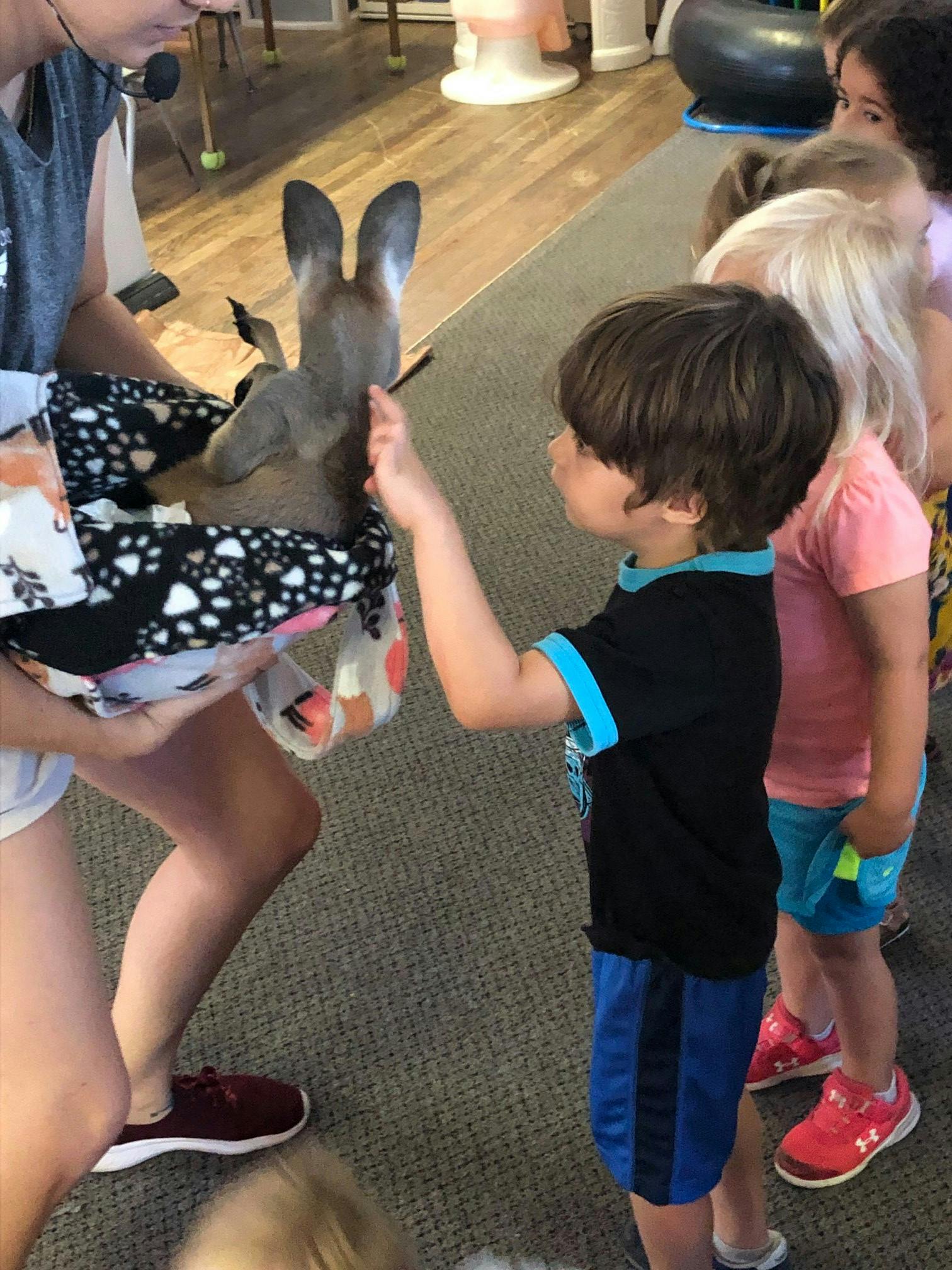 Person holding a fawn while a child reaches out to touch it