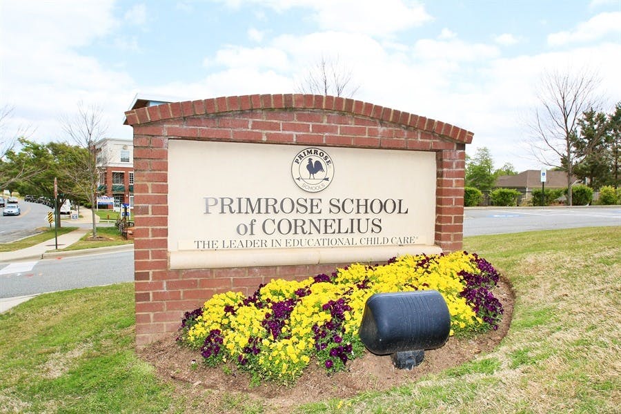 Brick sign for Primrose School of Cornelius with yellow and purple flowers