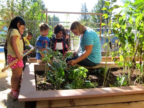 Adult and children tending to plants in a raised garden bed