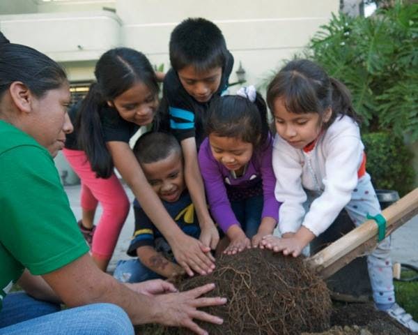 Adult and children planting a tree
