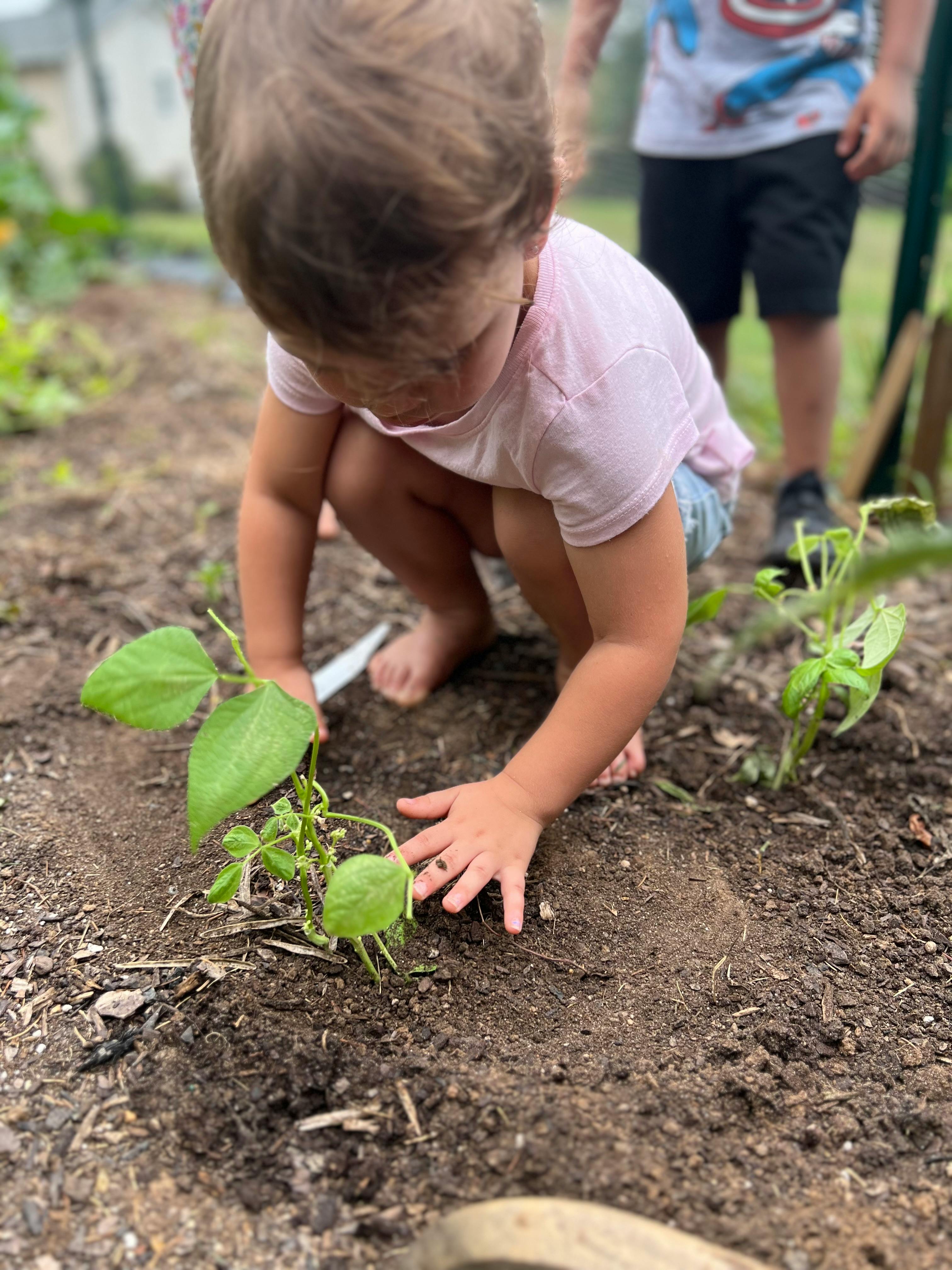 Child crouching and touching a small plant in the dirt
