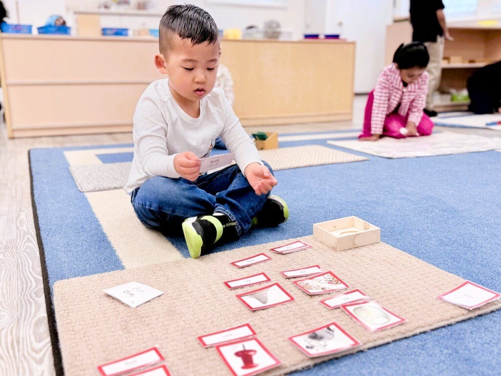 Child sitting on floor looking at a learning card with other cards spread out