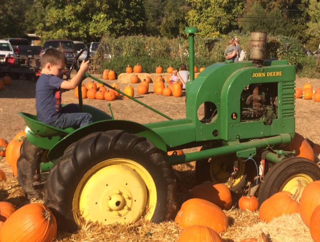 Child sitting on a green tractor surrounded by pumpkins