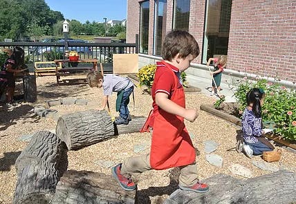 Children playing on logs in an outdoor area