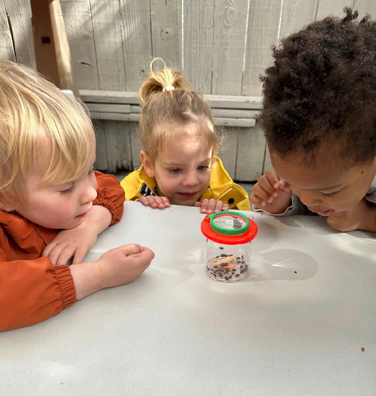 Three children looking at a bug viewer on a table