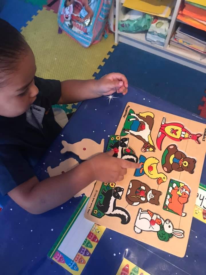 Child playing with an animal shape puzzle