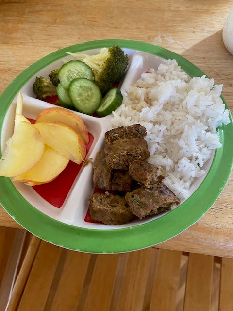 Divided plate with rice, meat, sliced apples, broccoli, and cucumber