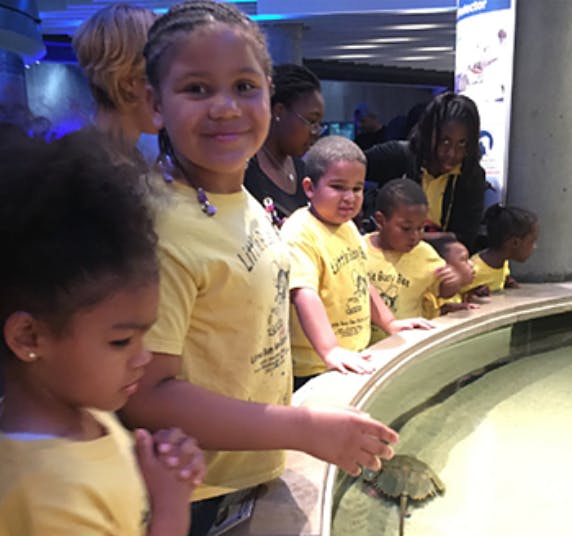 Children and adults looking into a tank with a turtle