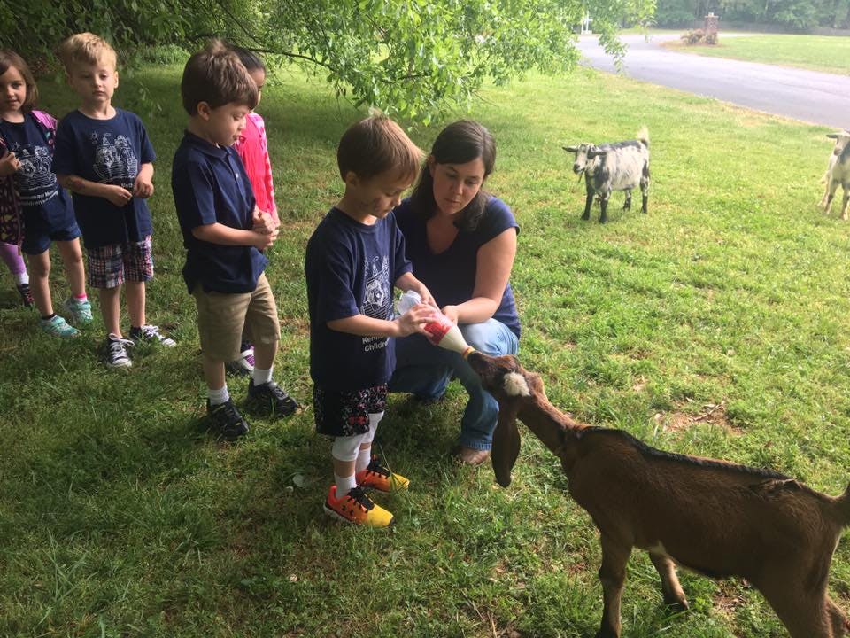 Adult and child feeding a goat with a bottle, other children watching