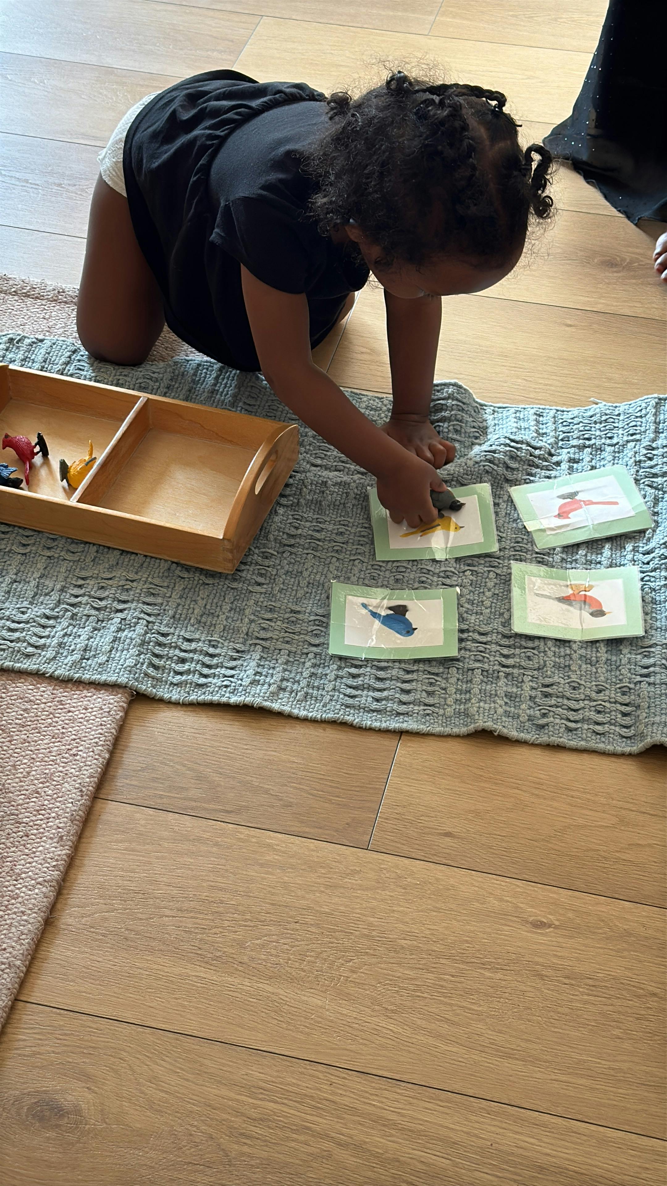 Child kneeling on a rug, matching toy birds to bird pictures