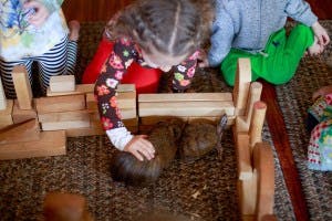 Child playing with guinea pigs and wooden blocks