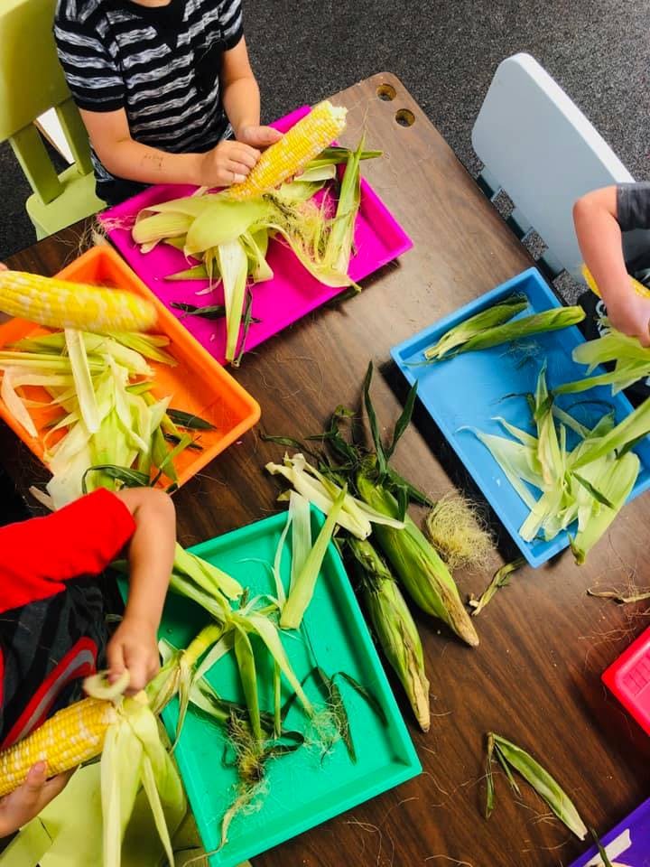 Children shucking corn at a table